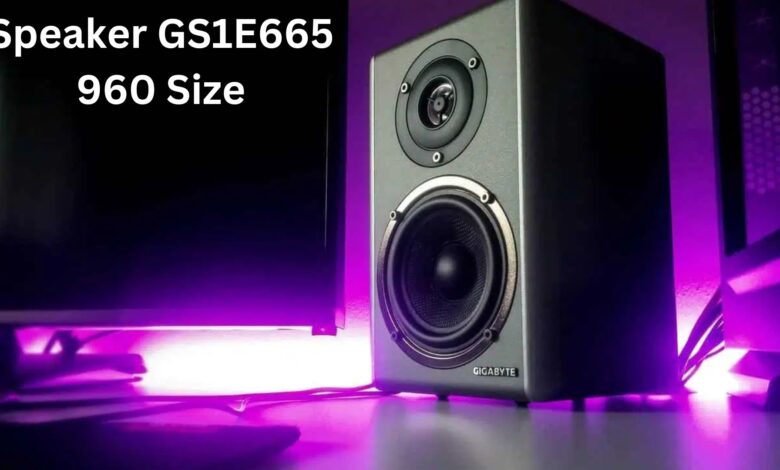 Speaker GS1E665 960 Size